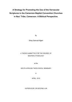 A Strategy for Promoting the Use of the Vernacular Scriptures in the