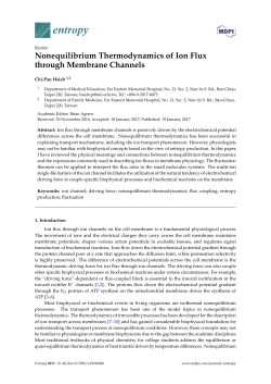 Nonequilibrium Thermodynamics of Ion Flux through