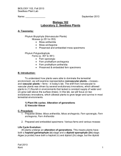 Biology 102 Laboratory 2: Seedless Plants