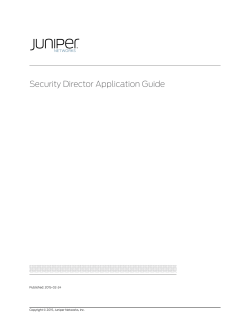 Security Director Application Guide