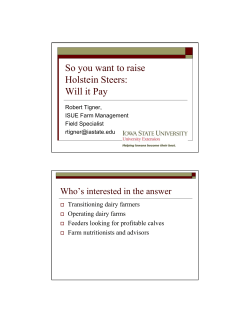 So you want to raise Holstein Steers: Will it Pay