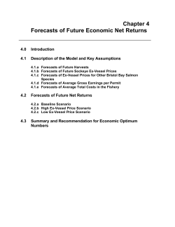 Chapter 4 Forecasts of Future Economic Net Returns