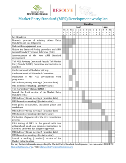 Market Entry Standard (MES) Development workplan
