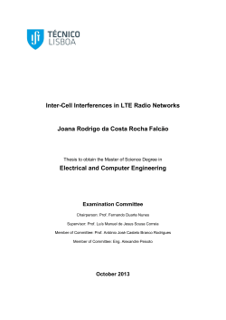 Inter-Cell Interferences in LTE Radio Networks