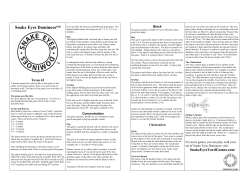 Snake Eyes Dominoes - Snake Eyes Yard Games