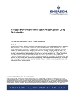 Process Performance Through Critical Control Loop Optimization