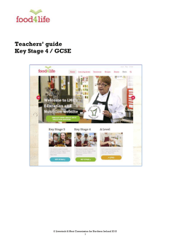 Teachers` guide Key Stage 4 / GCSE