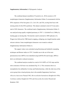 Length of the upper diastema: Equal or longer then