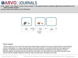Slide - Journal of Vision