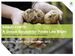 BANJO FORTE: A Unique Solution for Potato Late Blight