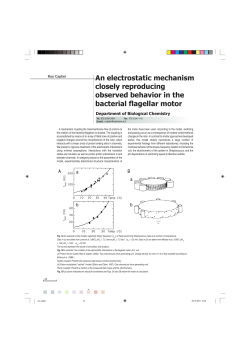 An electrostatic mechanism closely reproducing observed behavior