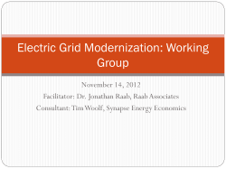 Electric Grid Modernization: Working Group
