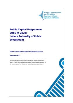 Capital Review Labour Intensity of Public Investment