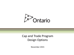 Other Options Considered