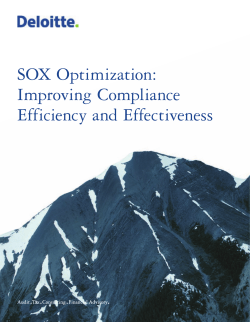 SOX Optimization: Improving Compliance Efficiency