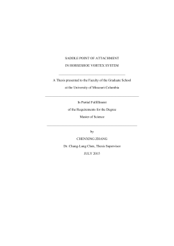 SADDLE POINT OF ATTACHMENT IN HORSESHOE