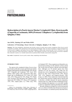 Redescription of a Poorly-known Marine Cyrtophorid Ciliate