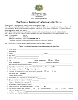 Dog Behavior Questionnaire plus Aggression Screen