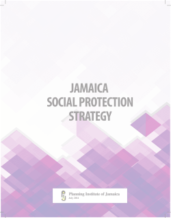tHe socIAl PRotectIon stRAtegY FoR JAmAIcA