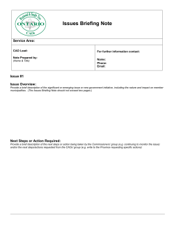 CAO briefing note template