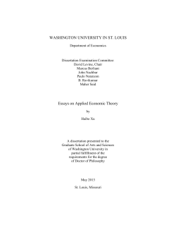 Essays on Applied Economic Theory