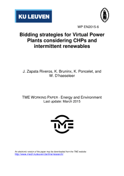 Bidding strategies for Virtual Power Plants considering