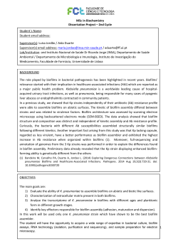 MSc in Biochemistry Dissertation Project &ndash; 2nd
