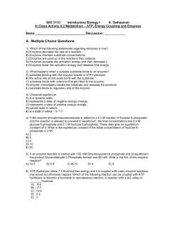 BIO 311C Introductory Biology I K. Sathasivan In Class Activity 8.2