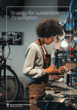 Strategy for sustainable consumption