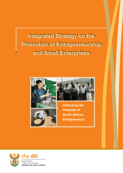 DTI SMME Strategy Book 07-08