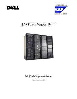 SAP Sizing Data within SAP`s Quick Sizer