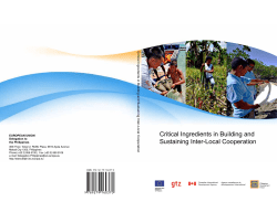 Critical Ingredients in Building and Sustaining Inter