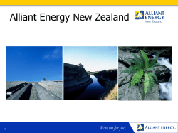 Investment in the New Zealand Electricity Industry