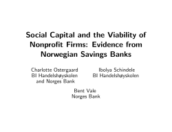 Social Capital and the Viability of Nonprofit Firms