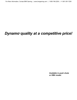 Dynamo&reg; quality at a competitive price!
