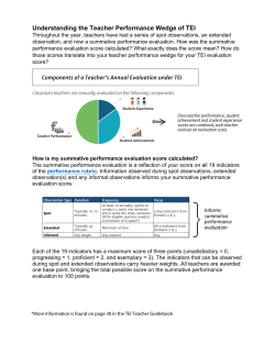 Understanding the Teacher Performance Wedge of TEI