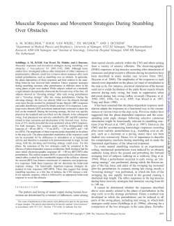 Muscular Responses and Movement Strategies During Stumbling