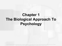 The Evolution of Behavior (cont`d.)