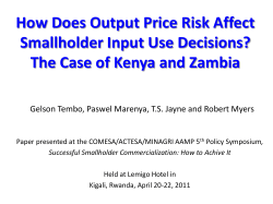 How Does Output Price Risk Affect Smallholder Input Use Decisions
