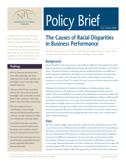 The Causes of Racial Disparities in Business Performance