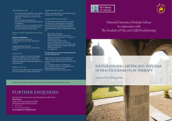 postgraduate certificate/diploma in practice based play