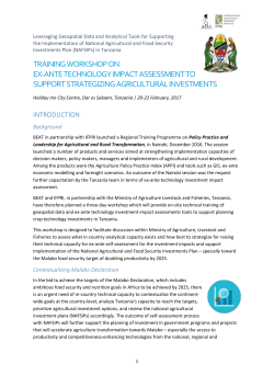 training workshop program