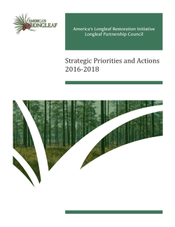Strategic Priorities and Actions 2016-2018