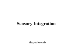 Sensory Integration Dysfunction