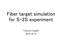 Fiber target simulation for S