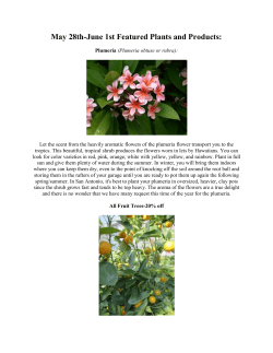 May 28th-June 1st Featured Plants and Products