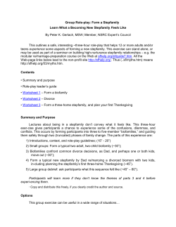 evaluation: stepfamily-formation role play