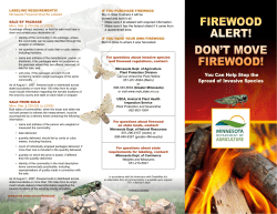 Firewood Alert! Don`t Move Firewood! - Brochure