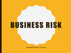 Business Risk