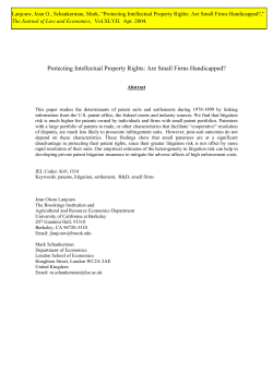 Protecting Intellectual Property Rights: Are Small Firms Handicapped?